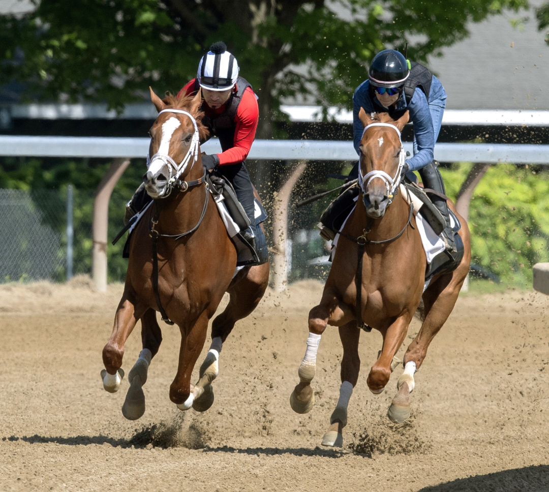 Antiquarian (left) works with Be You at SAR June 1 2024