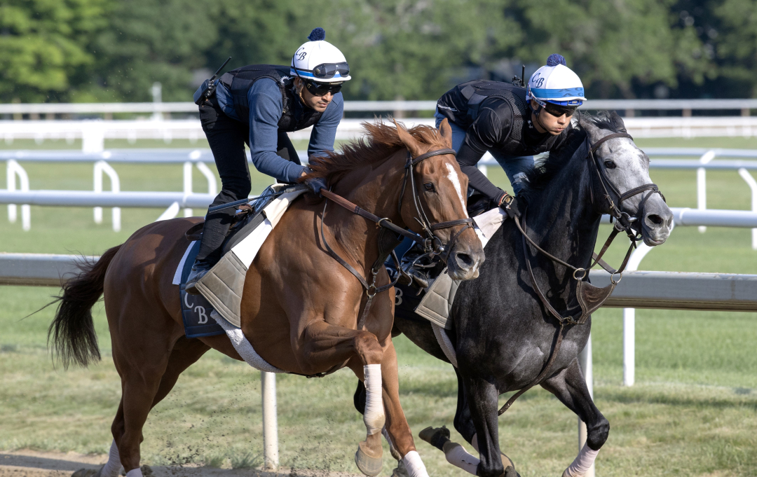 Beaute Cachee (right) works with Chili Flag at SAR May 31 2024