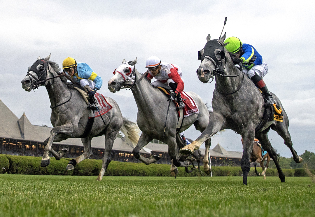 The Grey Wizard (left) beats Champagne Juan (right) and Limited Liability in Belmont Gold Cup at SAR June 6 2024