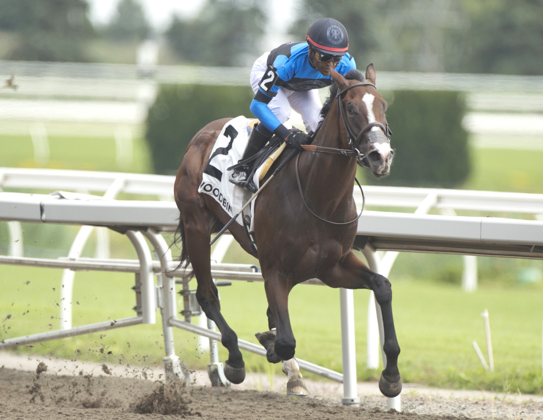 Mensa wins Victoria Stakes at WO July 19 2024