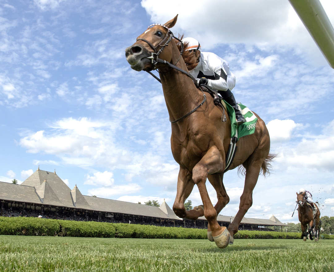 The Big Torpedo wins Cab Calloway division of NYSS at SAR July 18 2024