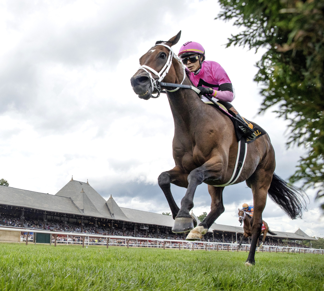 Cathkin Peak wins John's Call at SAR Aug 21 2024