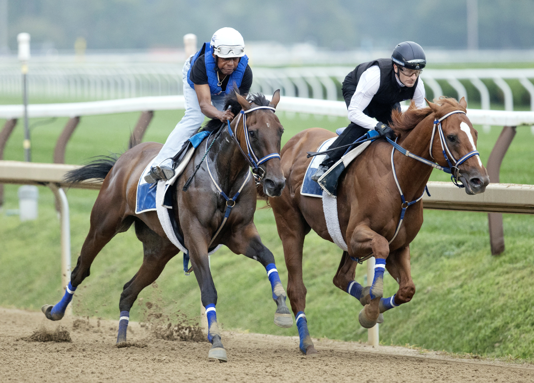 Travers Stakes 2024 Thorpedo Anna leads flurry of final works