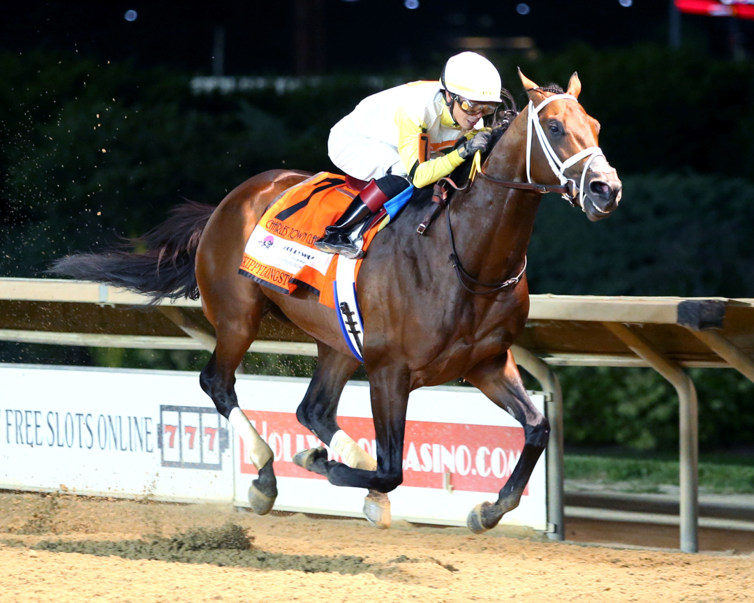 Skippylongstocking wins the Charles Town Oaks Aug 23 2024