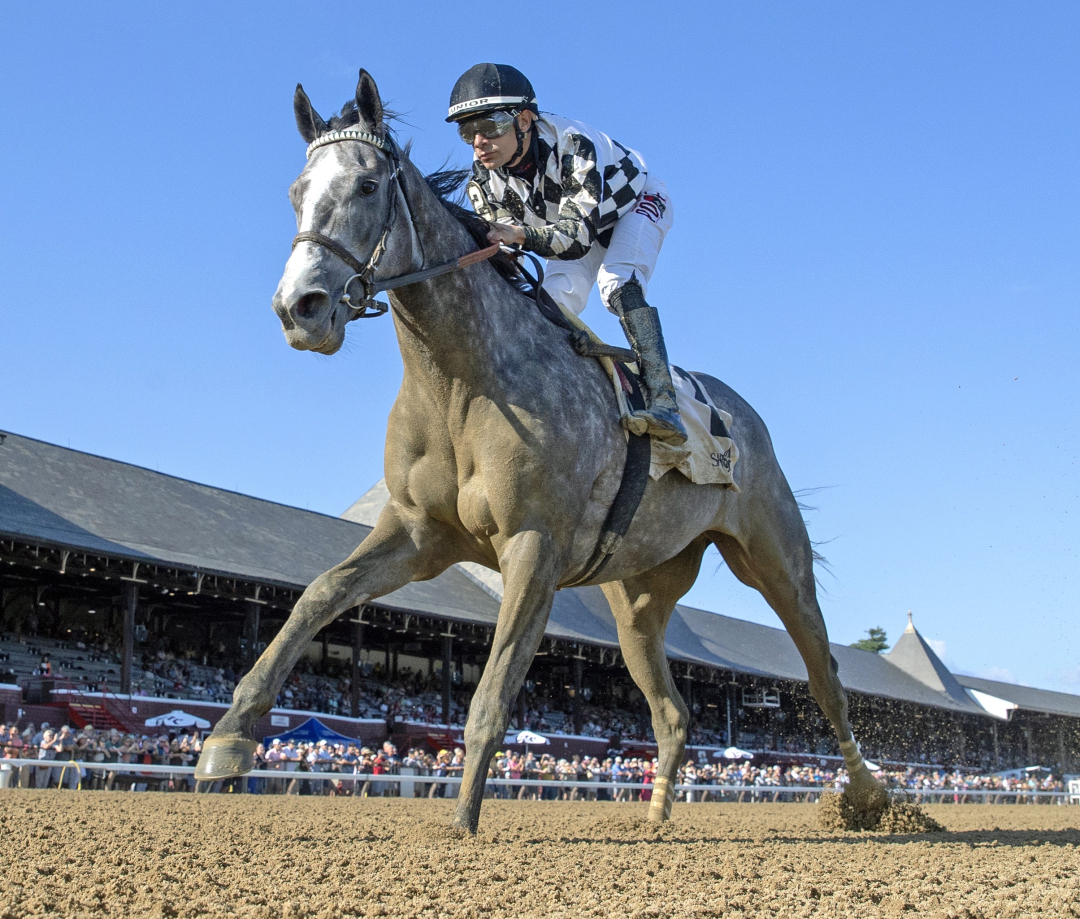 Sterling Silver wins Johnstone Mile at SAR Aug 7 2024