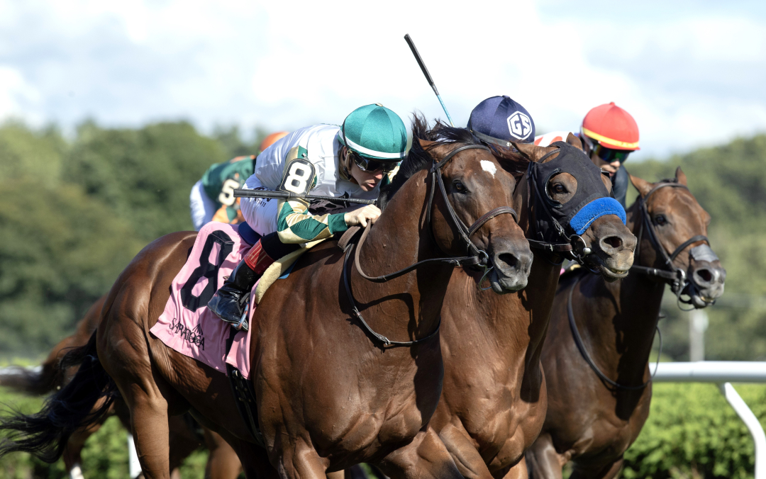 Big Invasion (left) beats Our Shot (center) and Souper Quest (right) in Harvey Pack at SAR Sept 2 2024