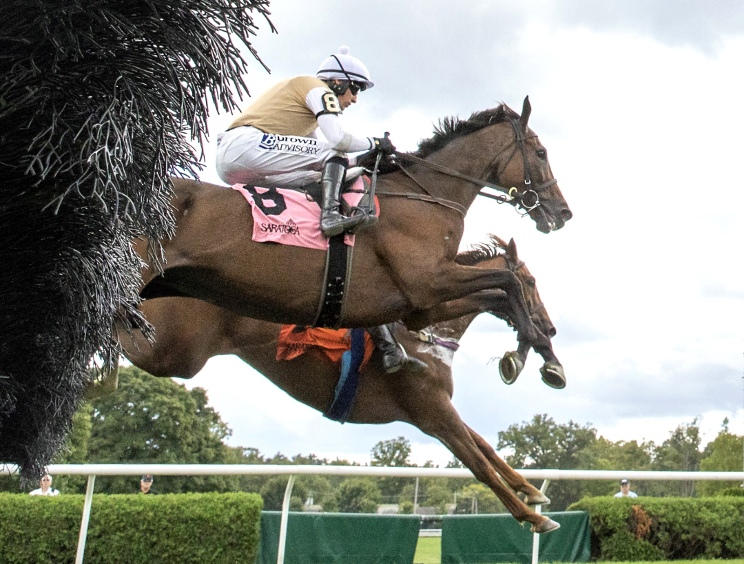 Evie's Prince on way to win in Michael G. Walsh Novice Stakes at SAR Aug 28 2024