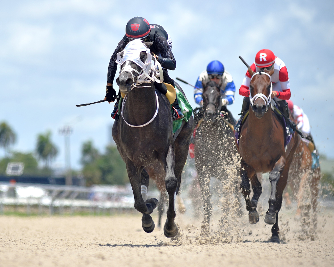 Ghostly Rose wins maiden at GP June 21 2024