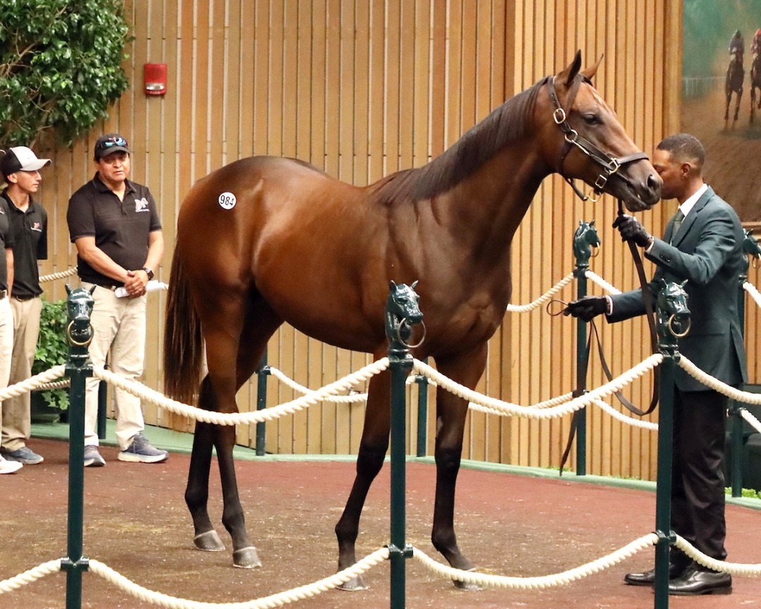 KEE September Hip 984 $1.3M Nyquist-Spa Treatment Sept 12 2024