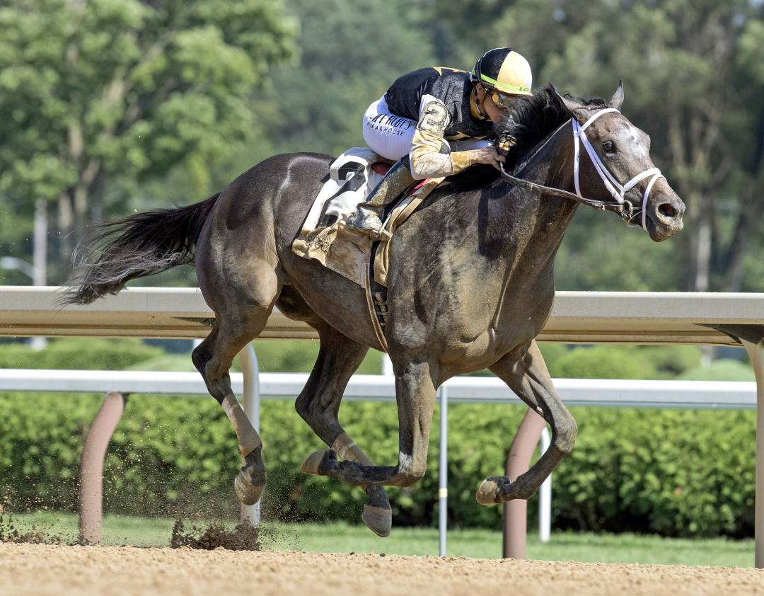 Showcase wins Saratoga Special Aug 10-2024