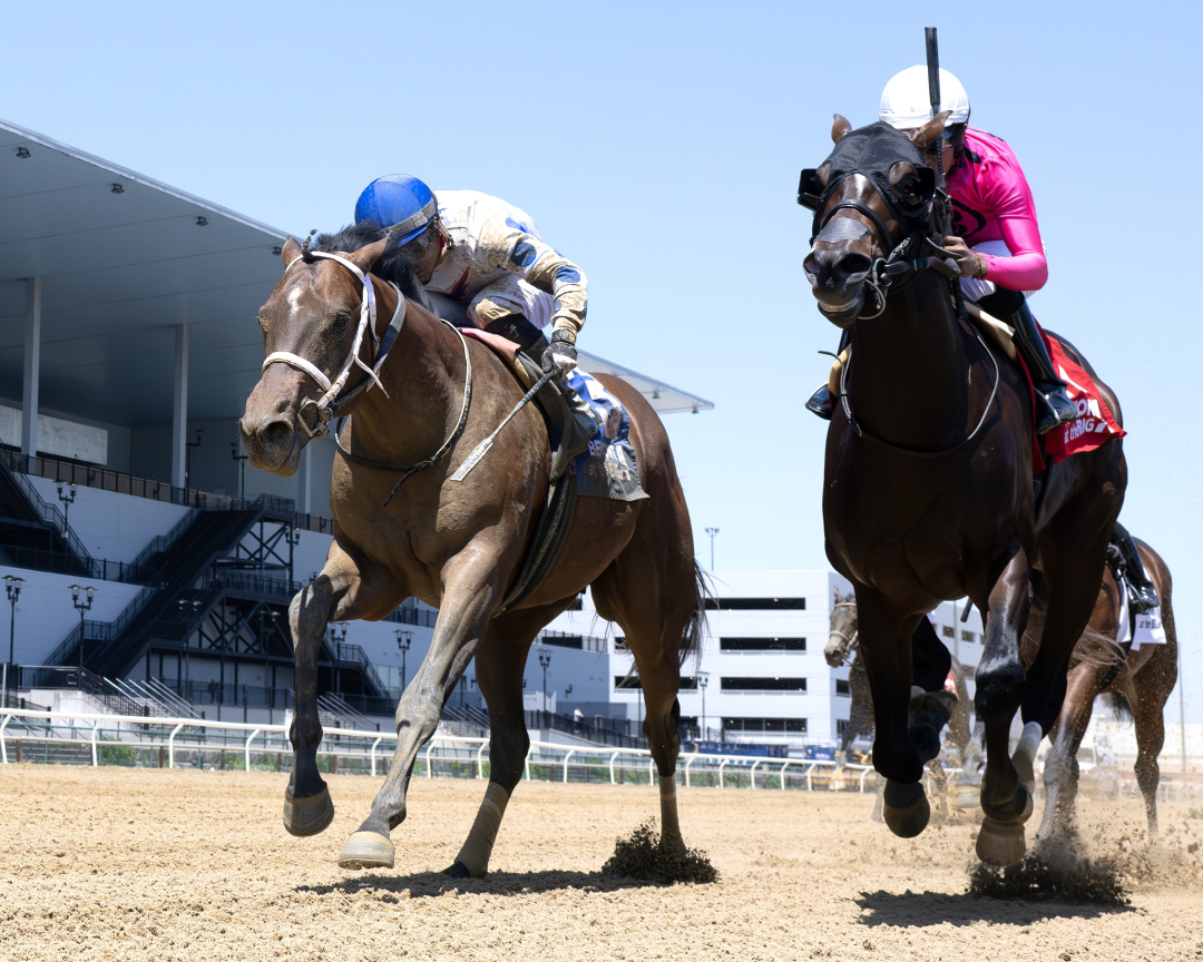 Soontobeking (left) wins maiden at AQU May 24 2024