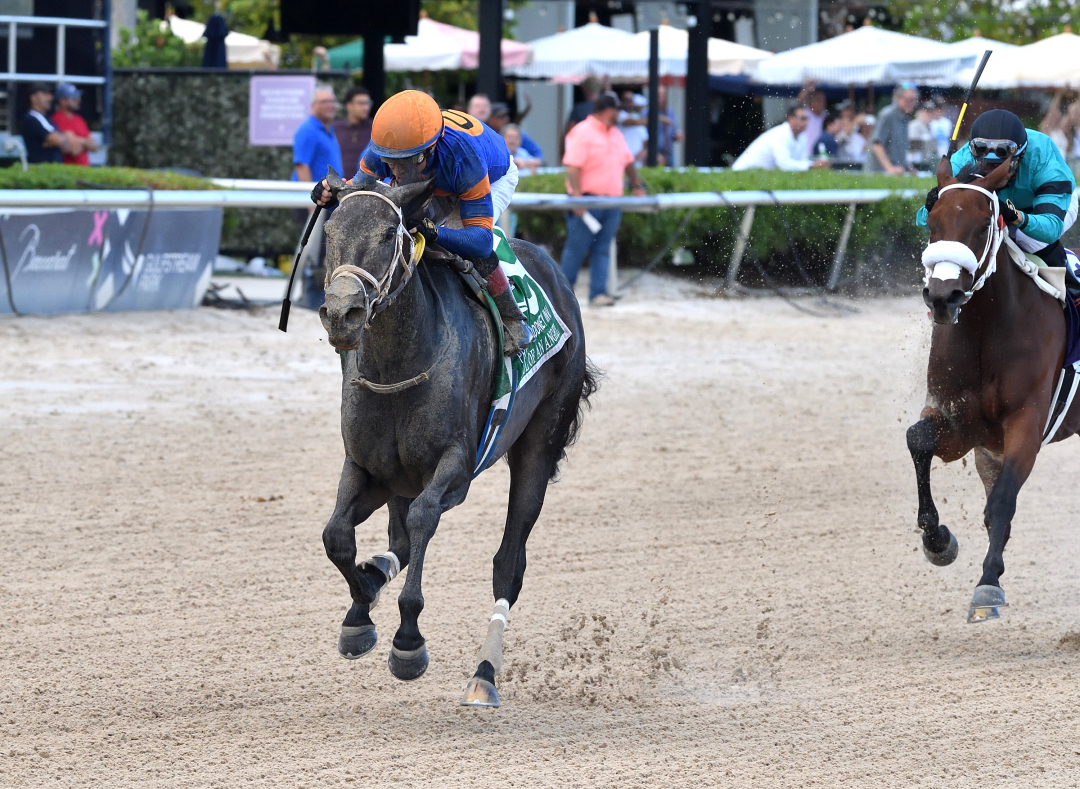 Soul of an Angel wins Princess Rooney at GP Sept 21 2024