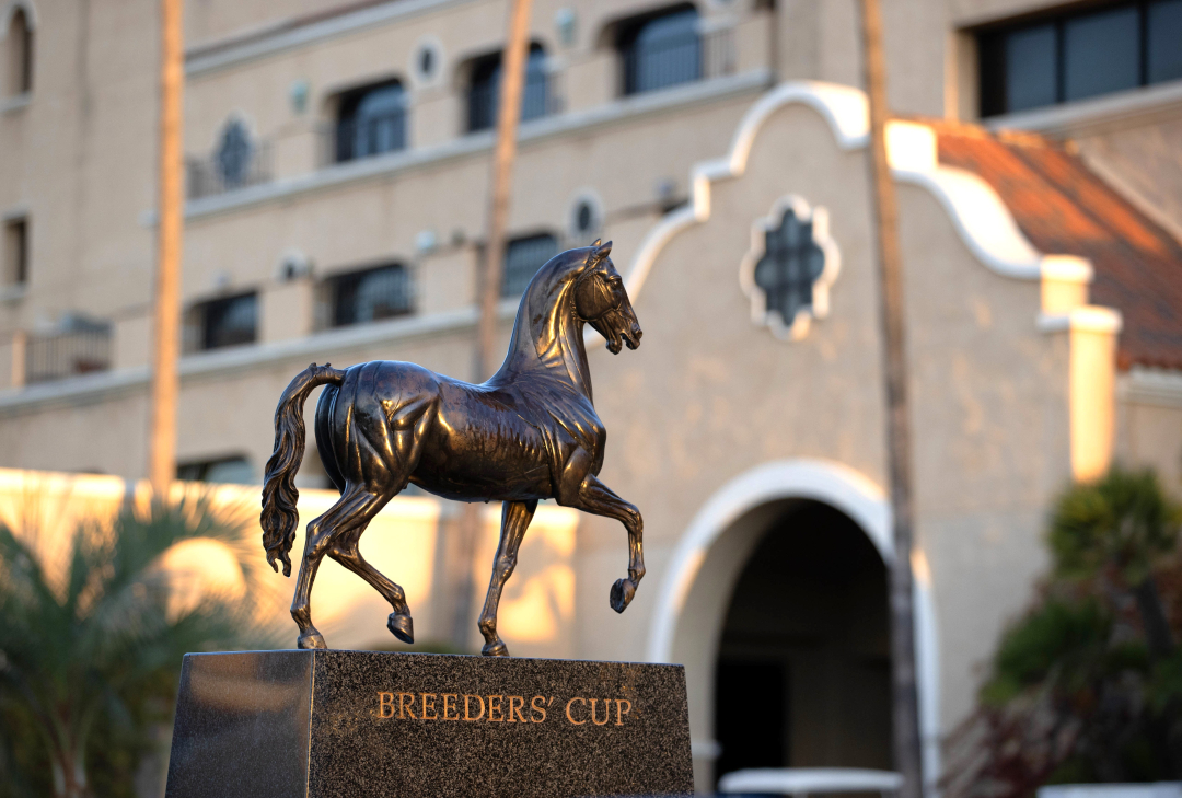 Del Mar.Breeders' Cup scenic Oct 23 2024