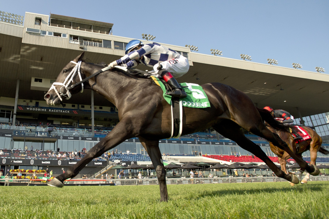 Dewolf wins Bull Page at WO Sept 15 2024