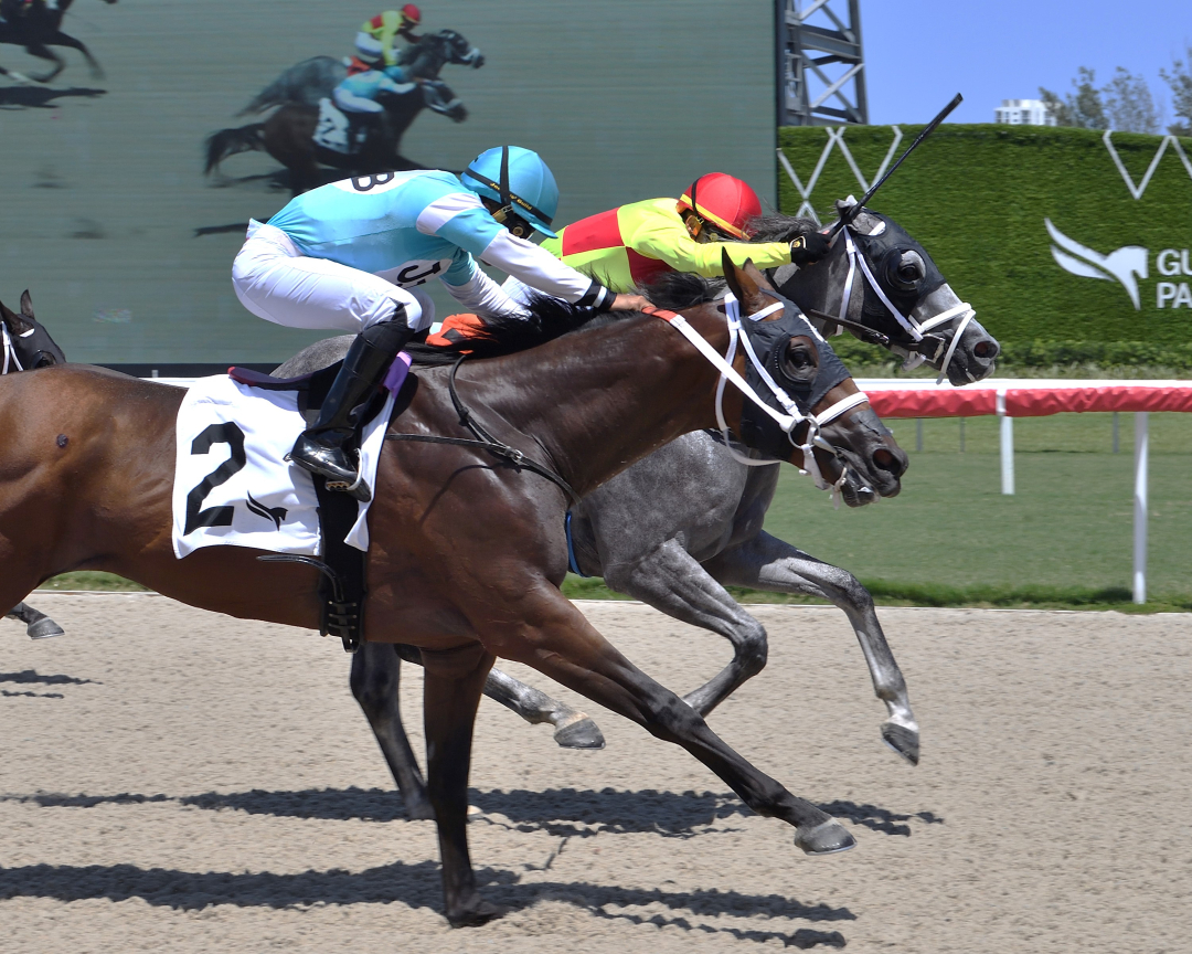 Fulanito wins maiden at GP Aug 11 2024