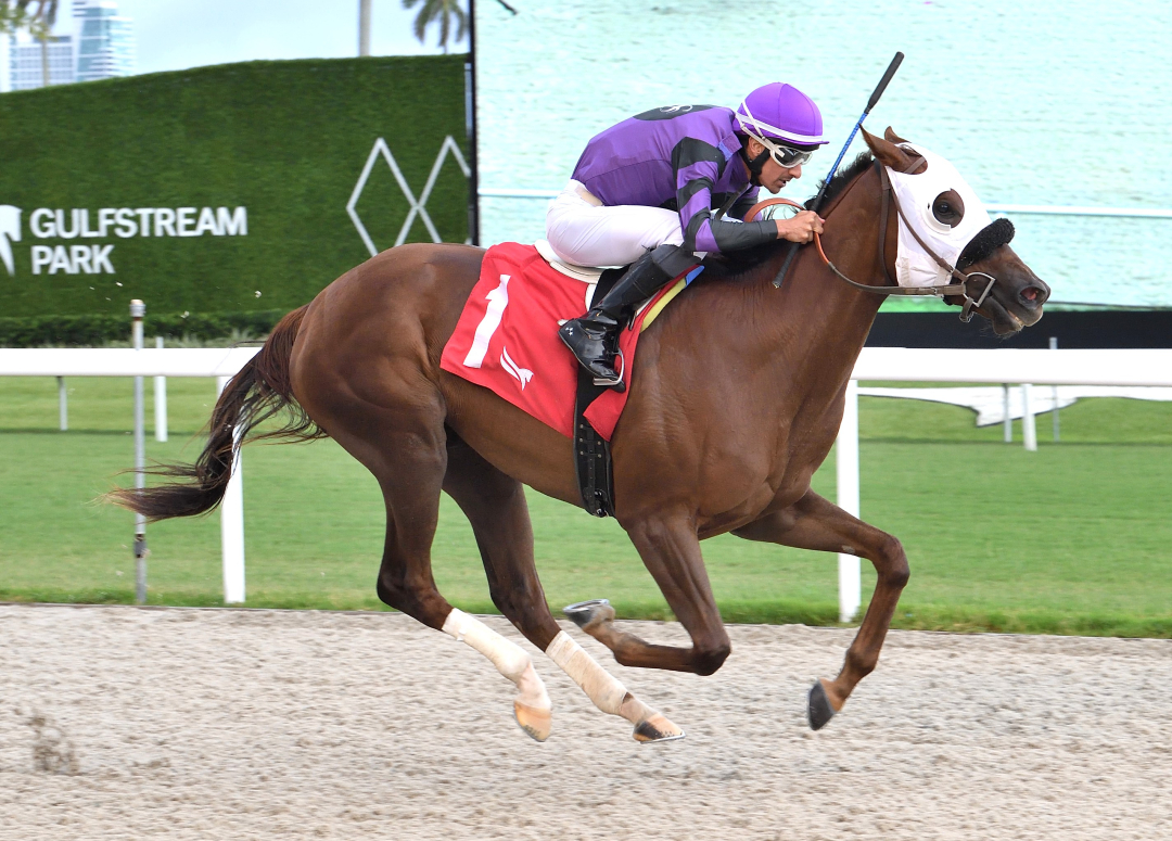 Hello Hello Hello wins maiden at GP Aug 31 2024