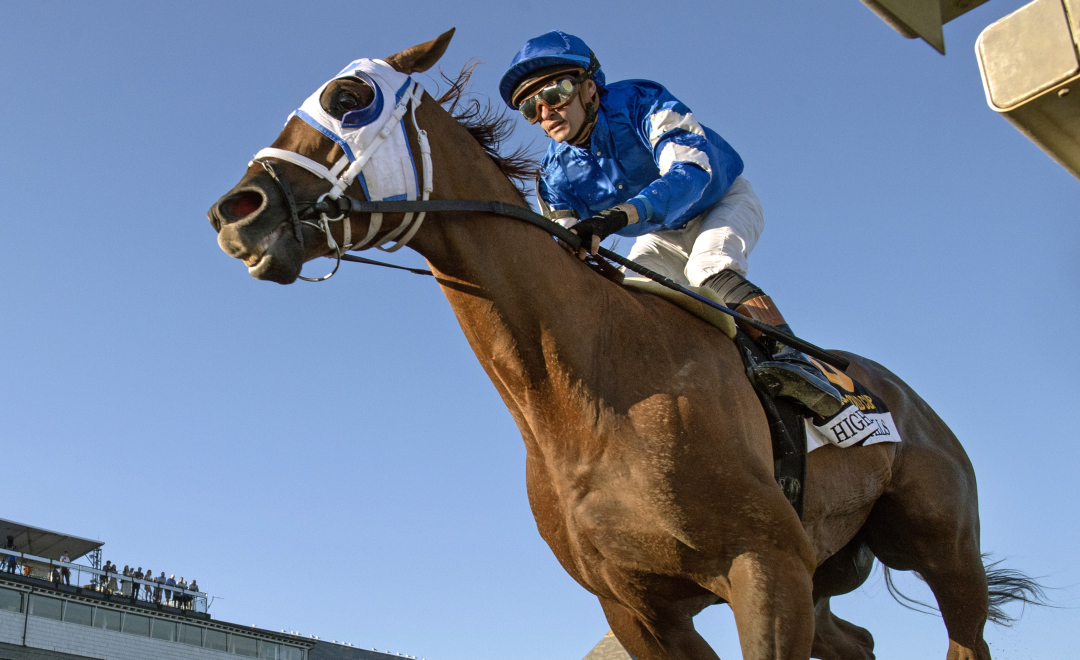 Highland Falls wins the Jockey Club Gold Cup at SAR Sept 1 2024