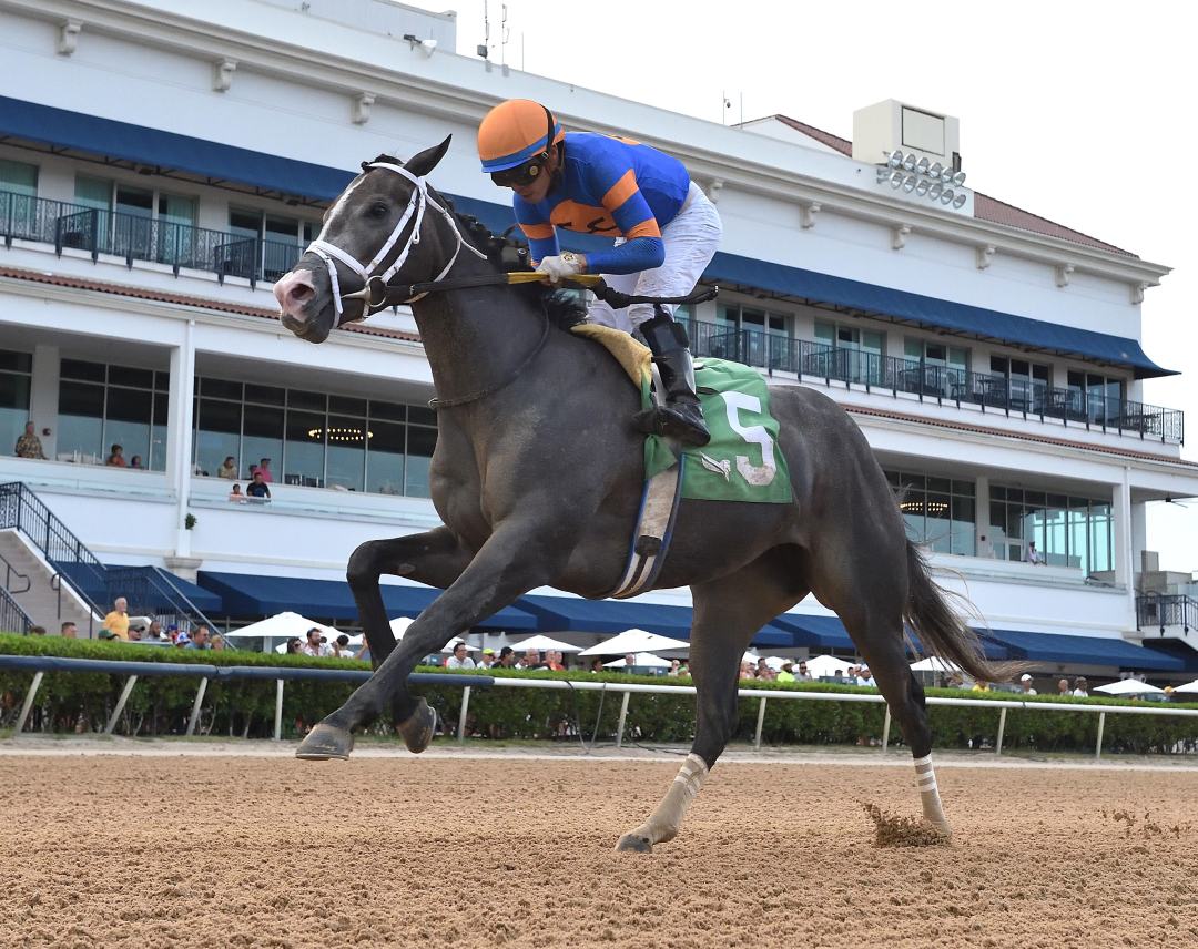 Haulin Ice wins Azalea at GP July 13 2024