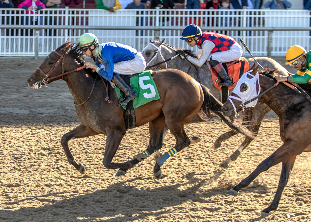 Hay Jude wins the Joseph Peluso Memorial at FG Nov 22 2024