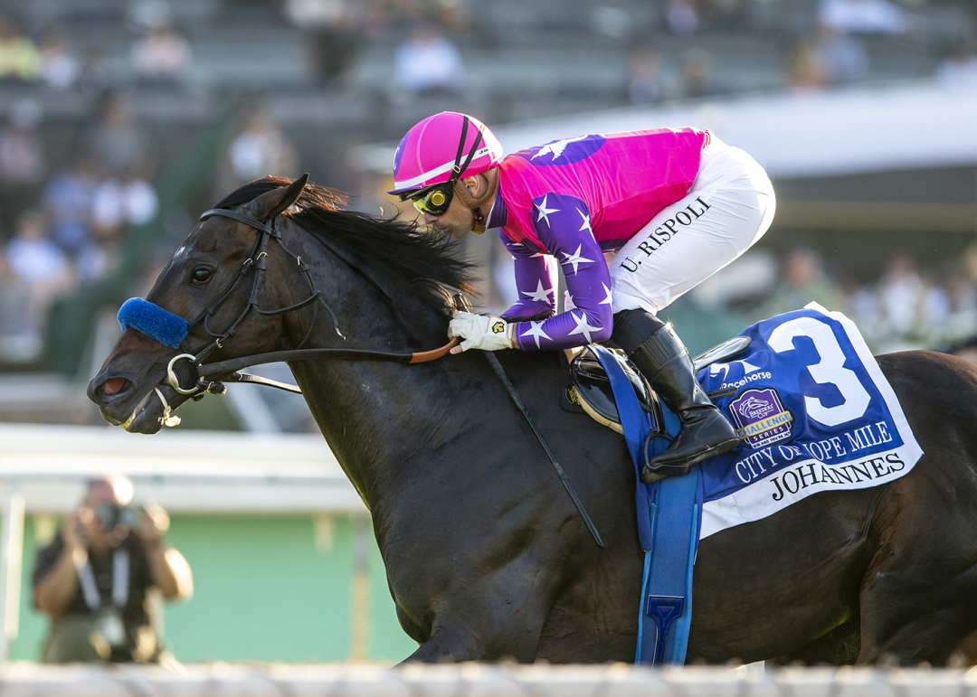 Johannes setting sights on Pegasus World Cup Turf