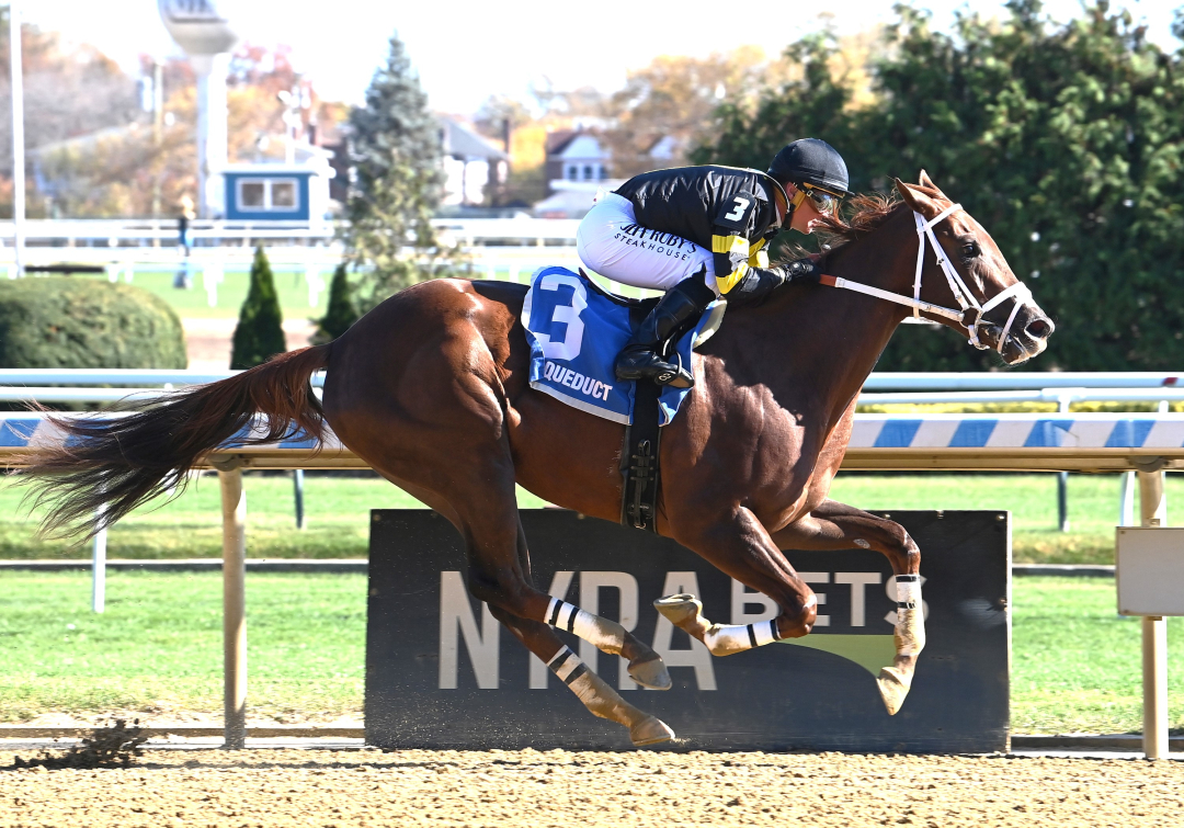 Lucille Ball wins maiden at AQU Nov 8 2024