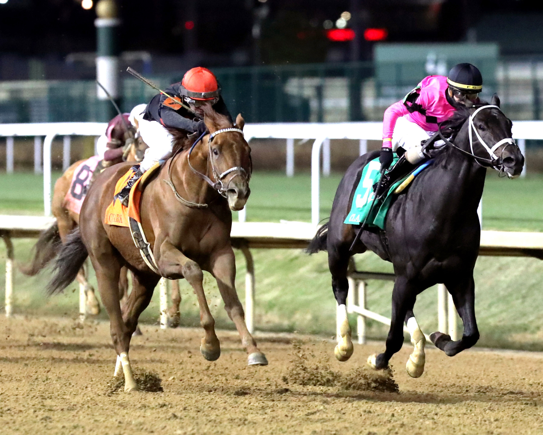 Rattle N Roll (left) runs down Mosted Wanted in Clark at CD Nov 29 2024