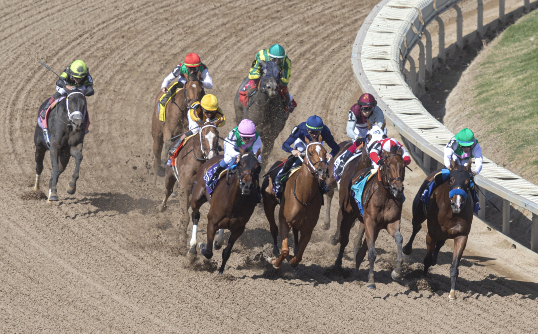 Soul of an Angel (far left, rear) made up alot of ground to win the BC Filly-Mare Sprint