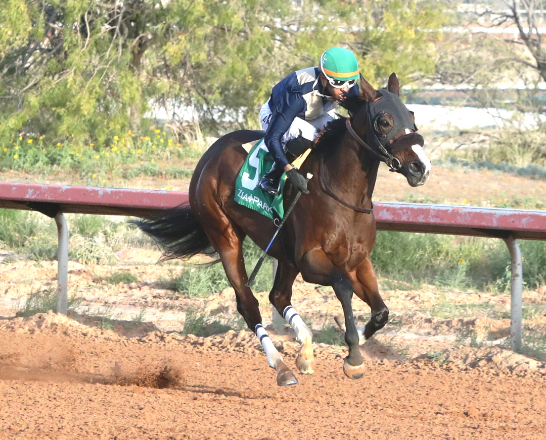 Valence wins Zia Park Oaks Nov. 26 2024