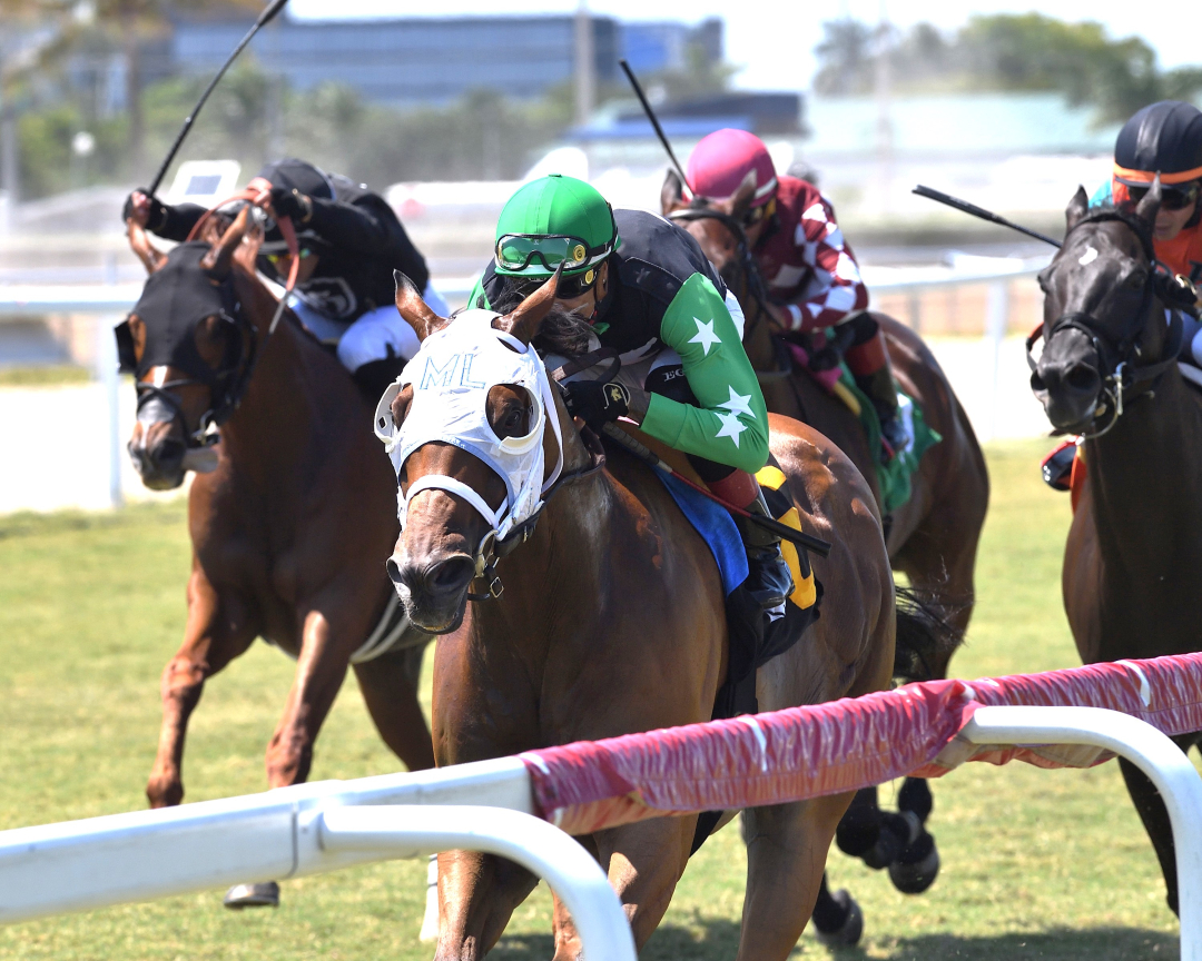 Xy Speed wins overnight handicap at GP May 25 2024