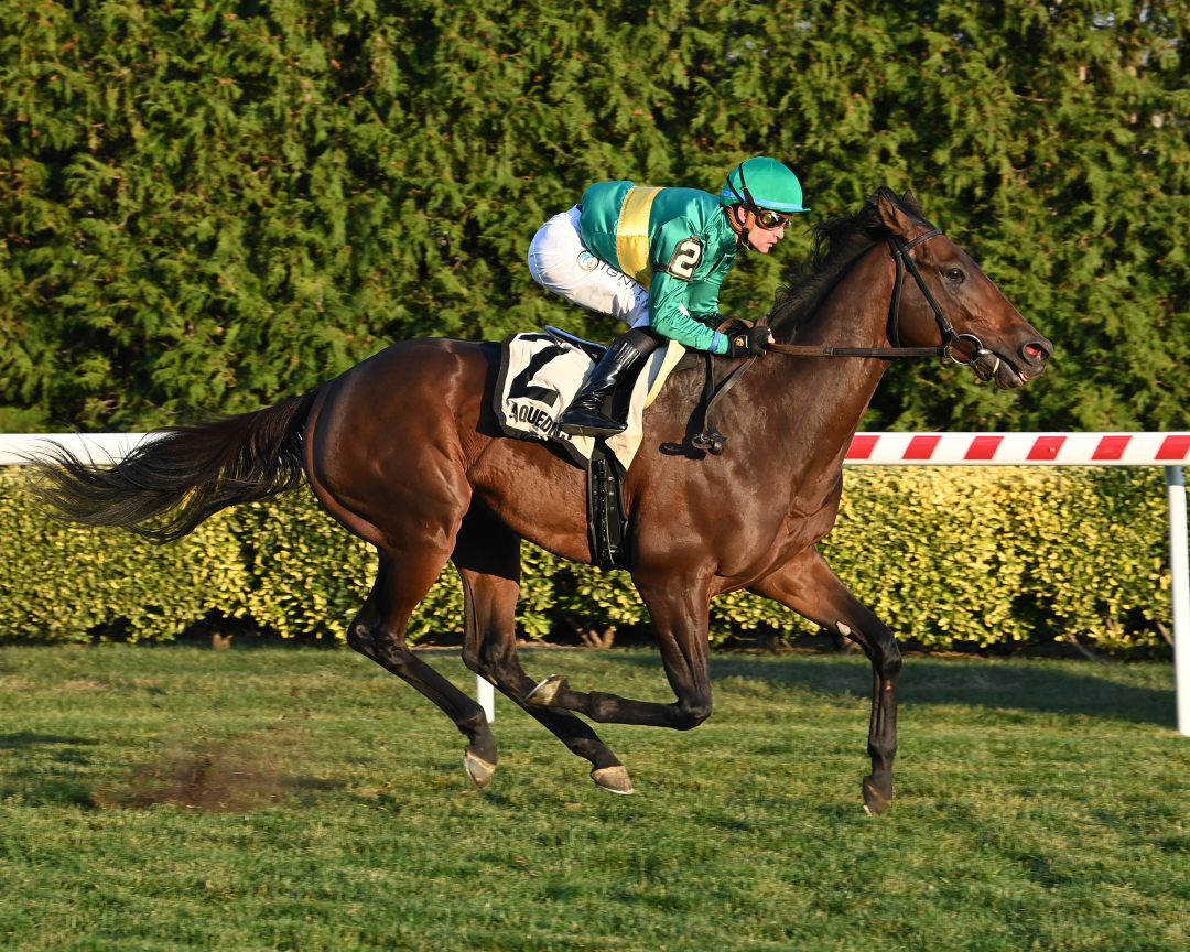 daily-racing-form-horse-racing-bets-entries-results-pps