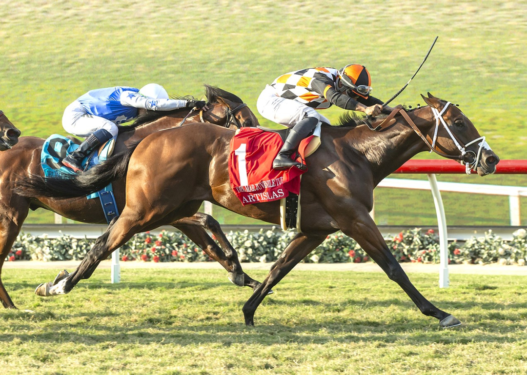 Artislas wins Del Mar Juvenile Turf Sept 8 2024