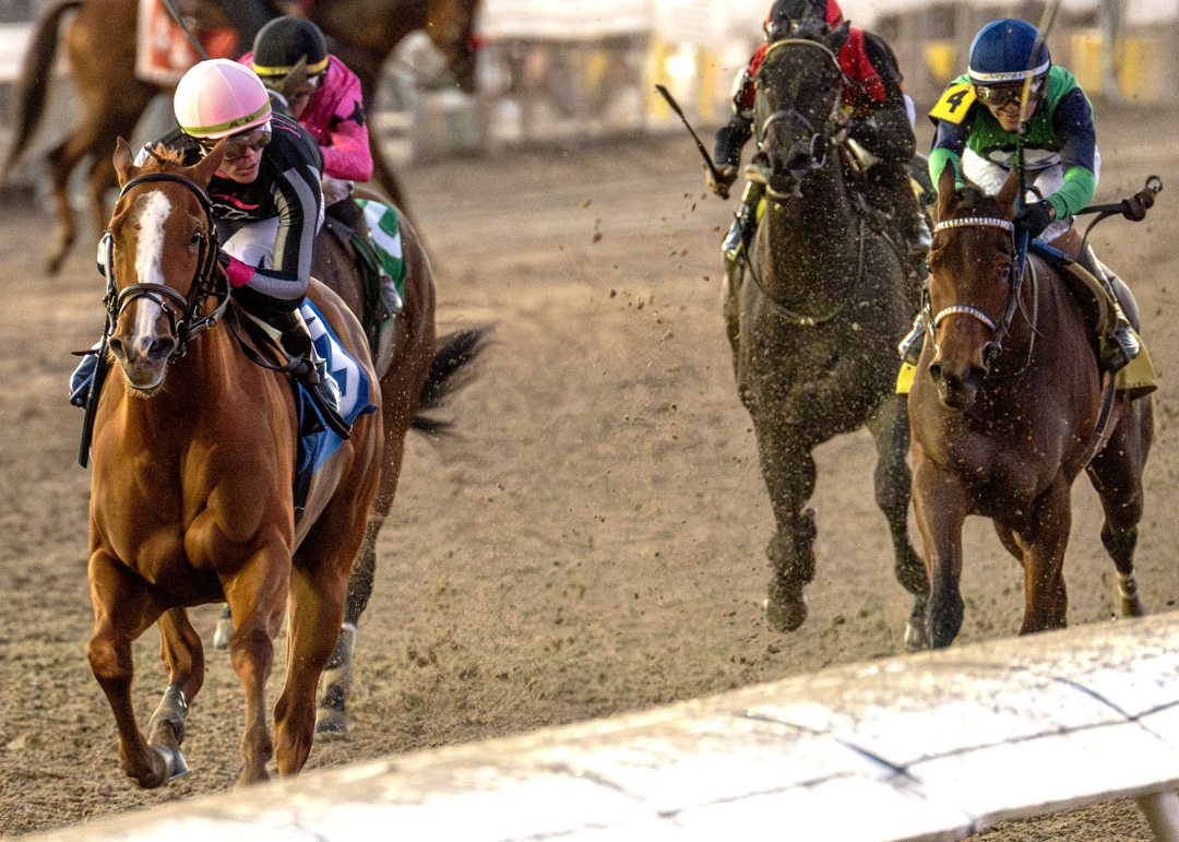 Her Laugh wins Untapable at FG Dec 21 2024