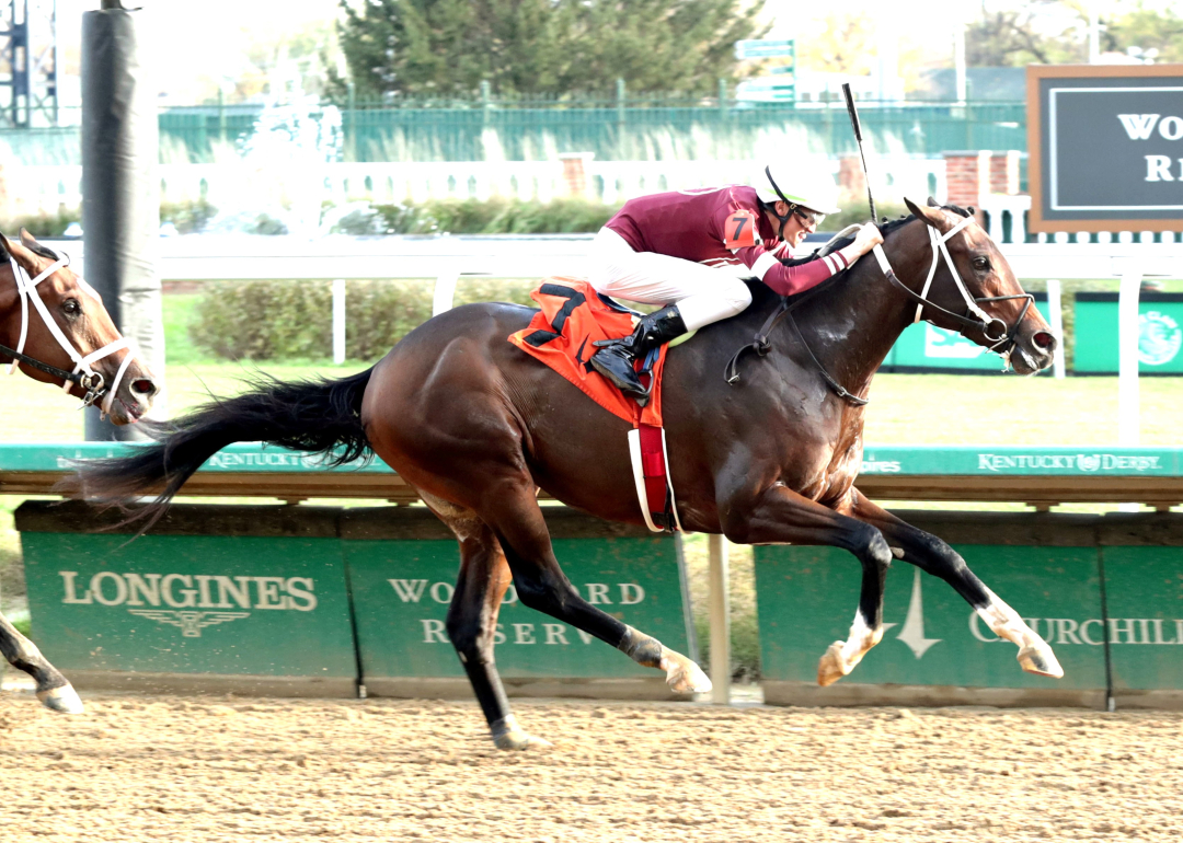 Magnitude wins at CD Nov 17 2024