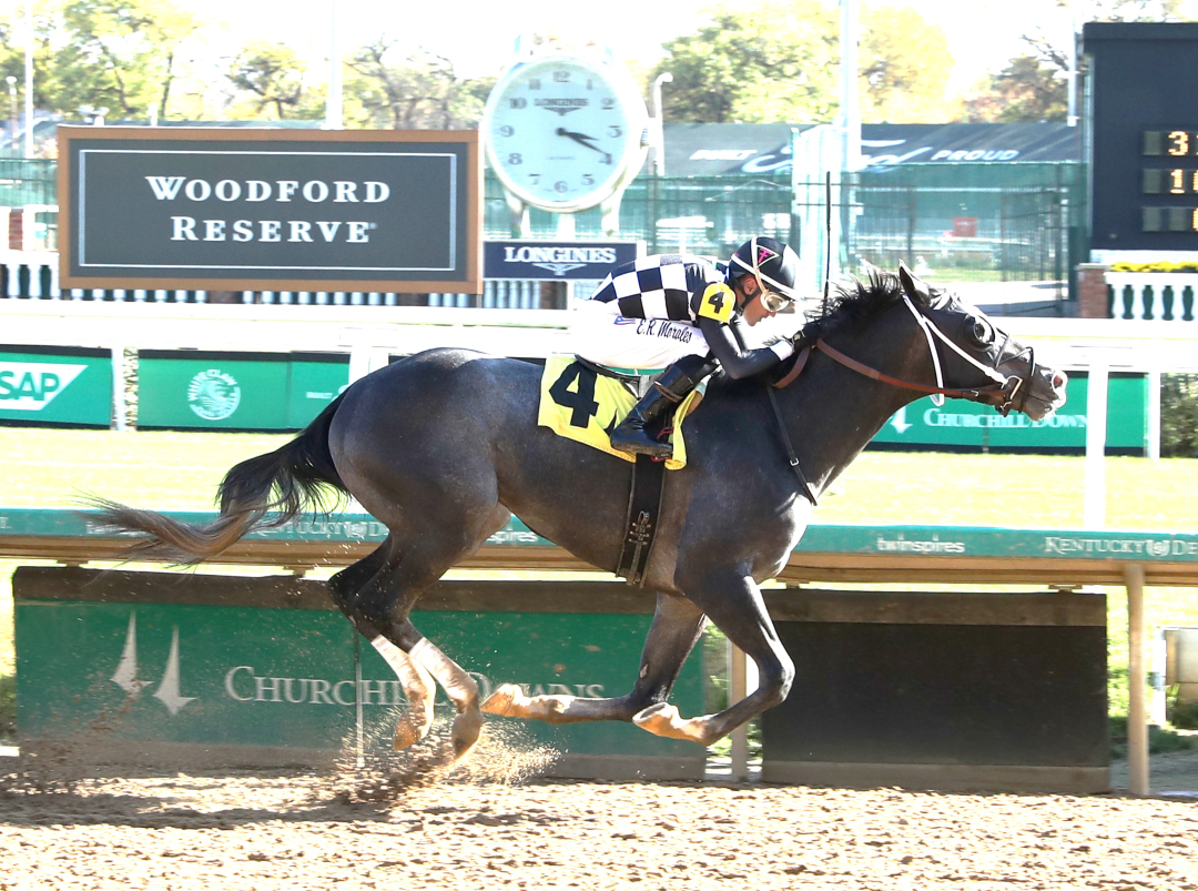 Speed King wins maiden Nov 1 2024