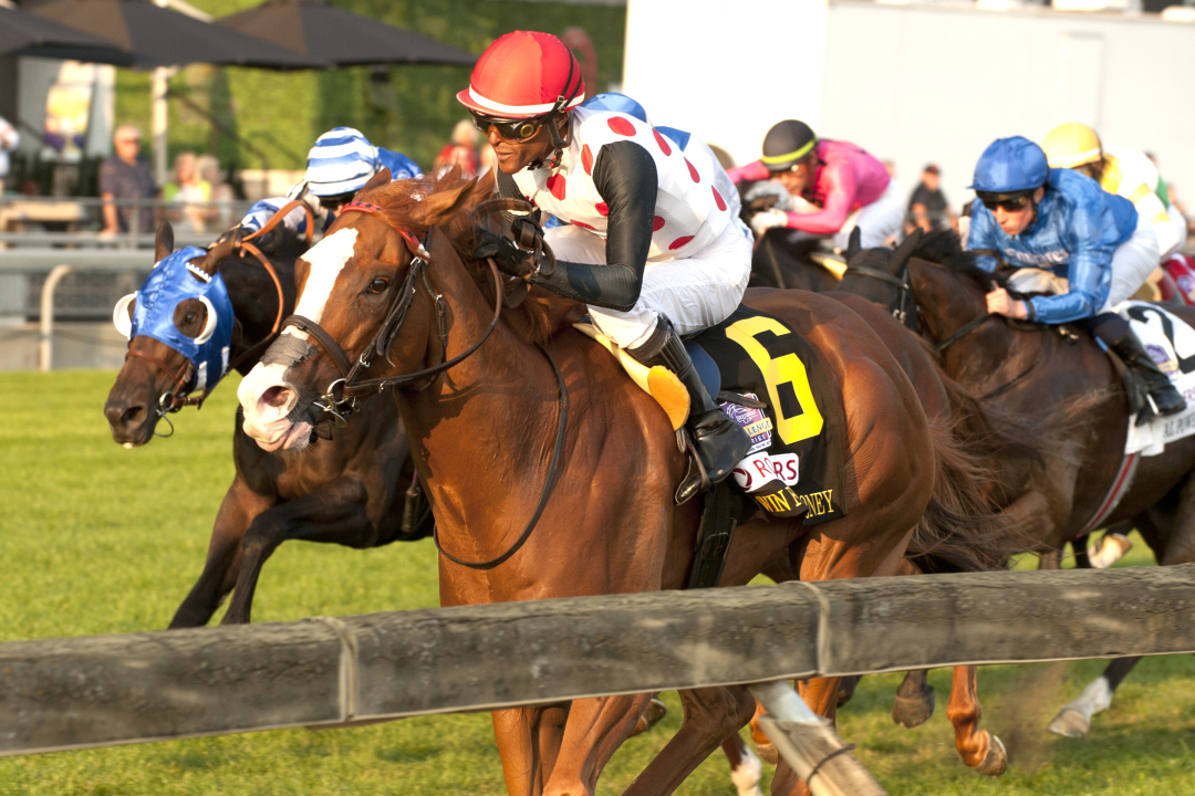 Win for the Money wins Woodbine Mile Sept 14 2024