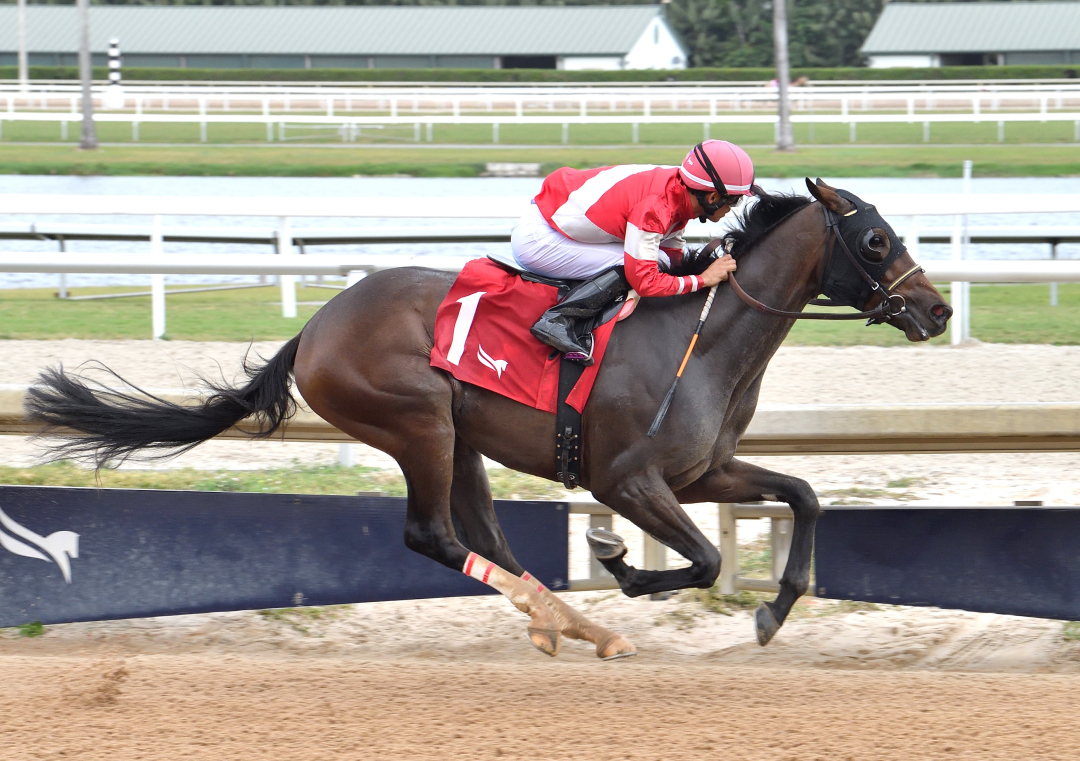 Burnham Square wins maiden at GP Dec 28 2024