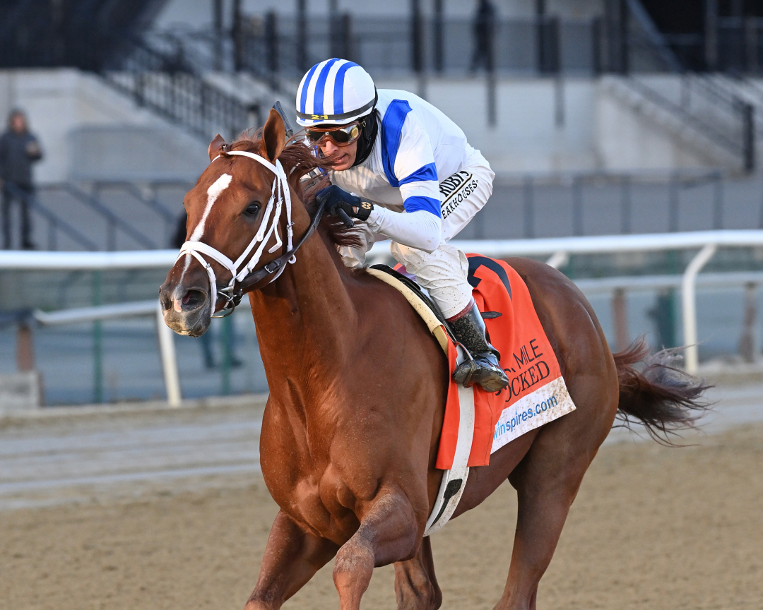 Pegasus World Cup Locked gets post 11 as 52 morningline favorite