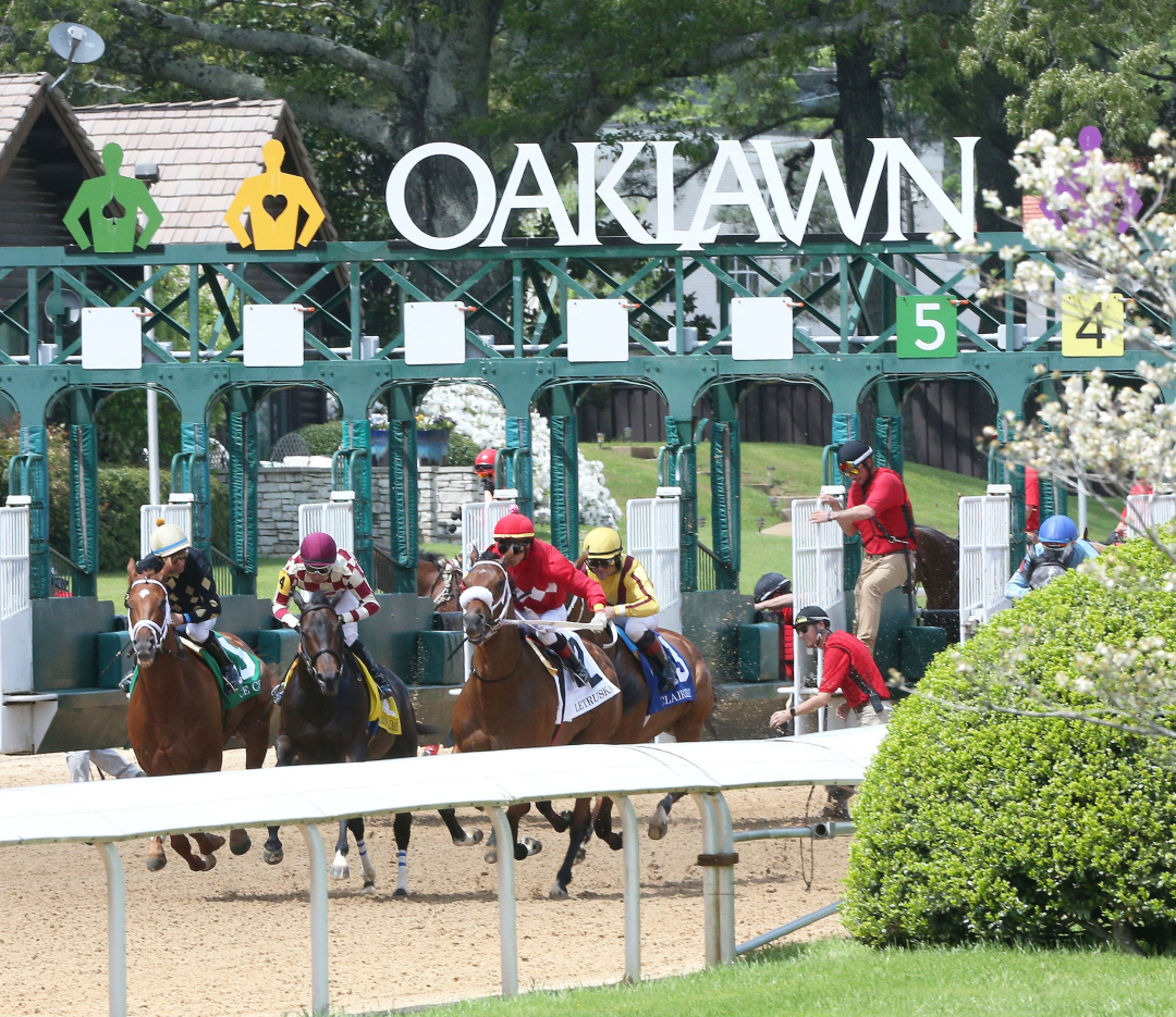 Oaklawn.scenic,starting gate April 23 2022