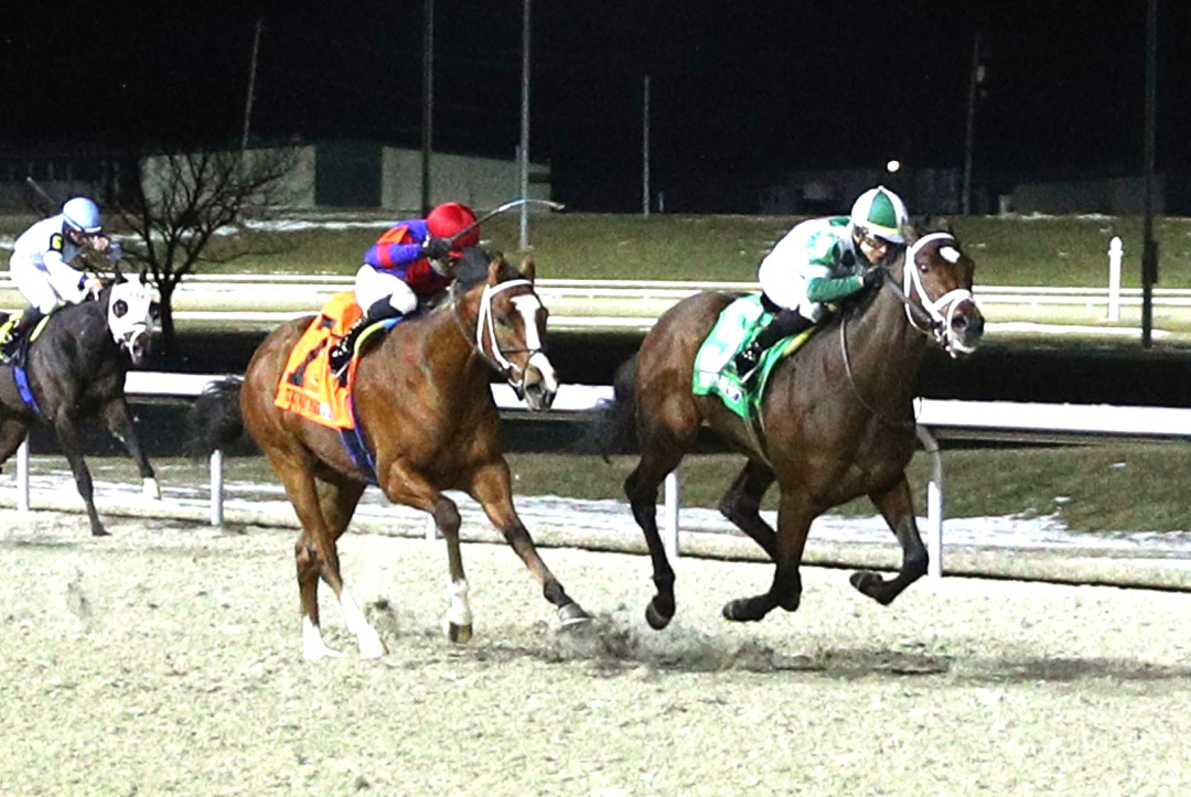 California Burrito (right) beats Baby Max in Battaglia Memorial at TP Feb 22 2025