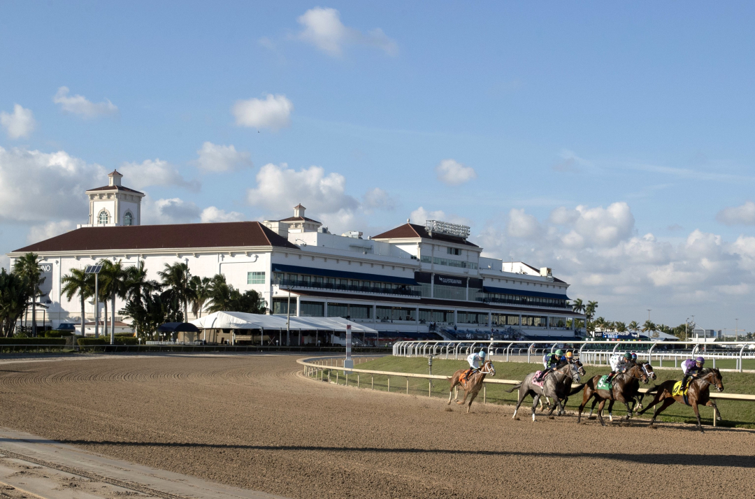 Gulfstream Park scenic Jan 30 2025