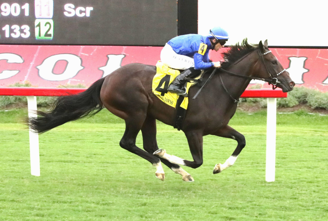 Merry and Bright wins maiden at CNL July 26 2024