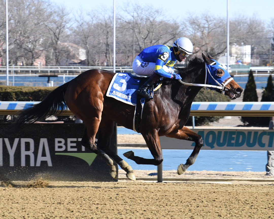 Volleyballprincess cruises to an easy front-running win in the Ruthless at Aqueduct.