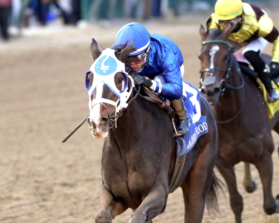 Good Cheer wins Golden Rod at CD Nov 30 2024
