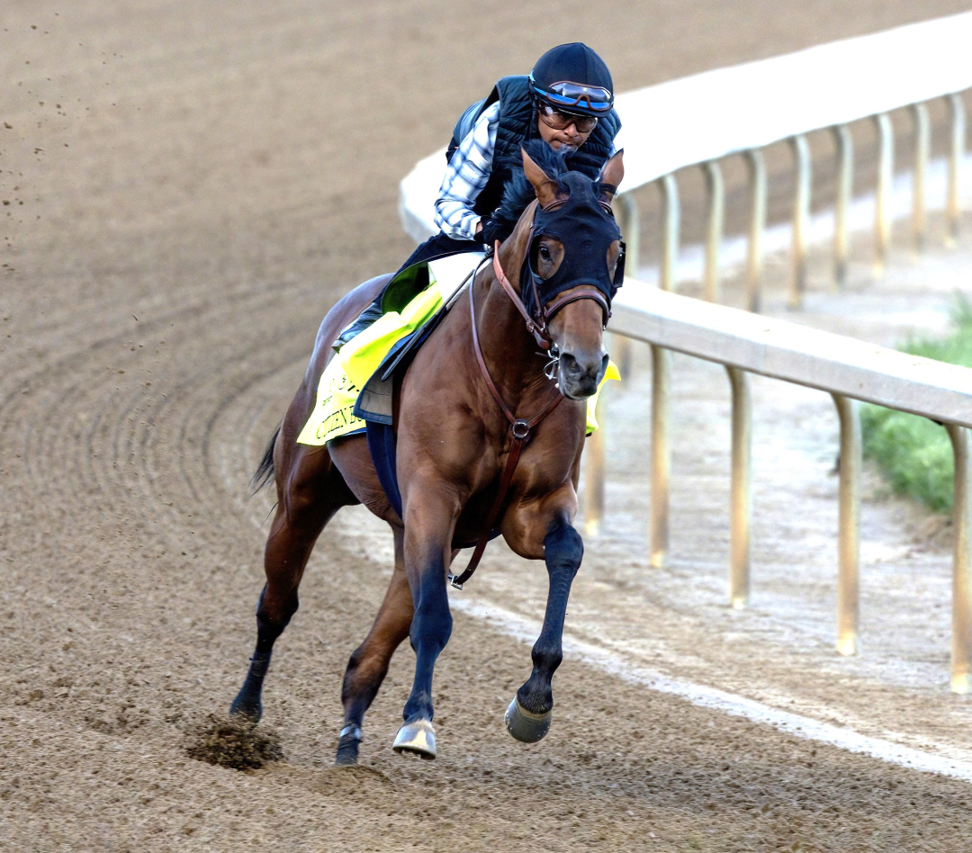 Citizen Bull works at CD April 28 2025