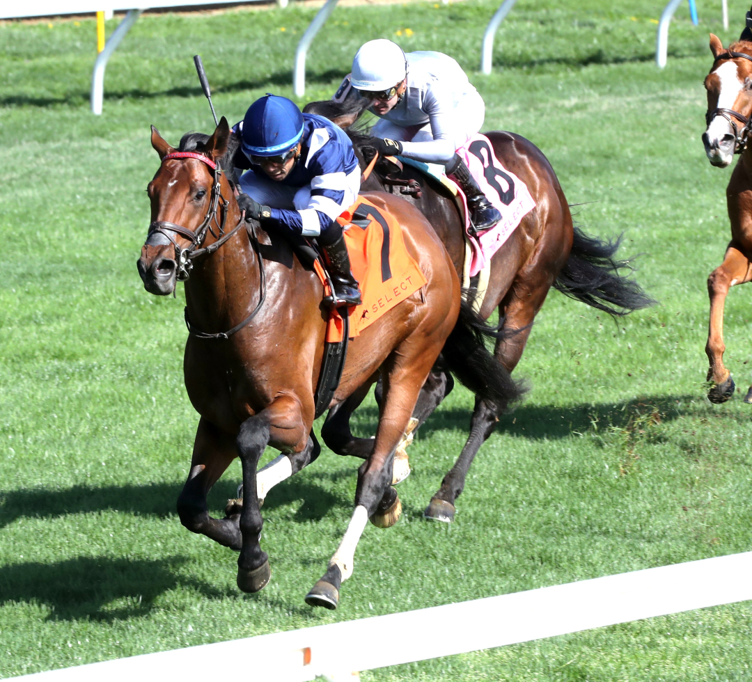 Test Score wins Transylvania at KEE April 7 2025