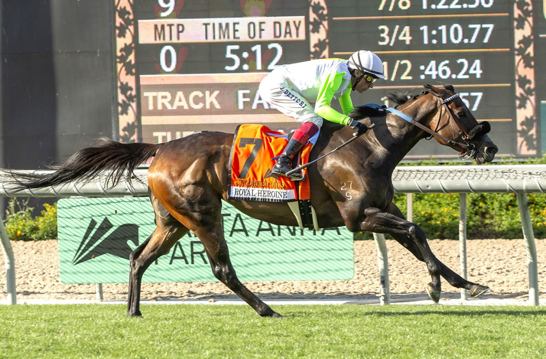 Uncorked wins Royal Heroine at SA April 27 2024