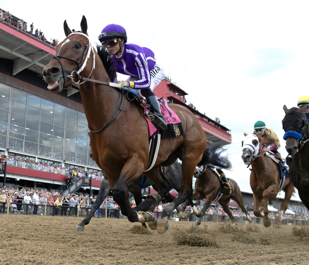 Clever Again during Preakness Stakes at PIM May 17 2025