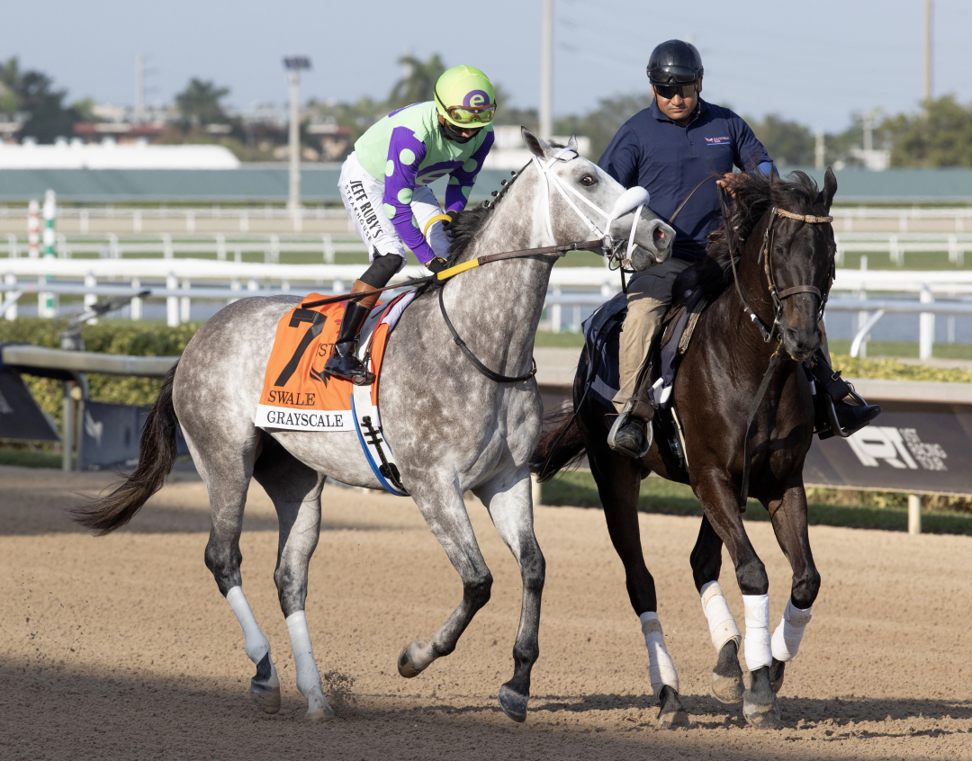 Grayscale at Swale at GP Feb 1 2025