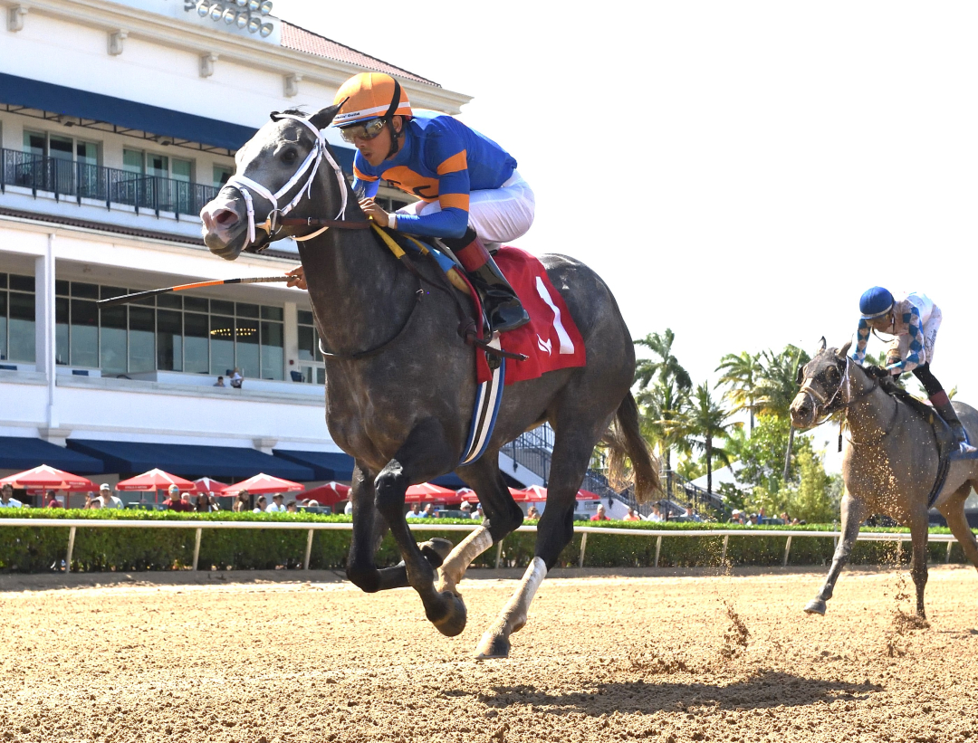 Haulin Ice wins Musical Romance at GP June 22 2025