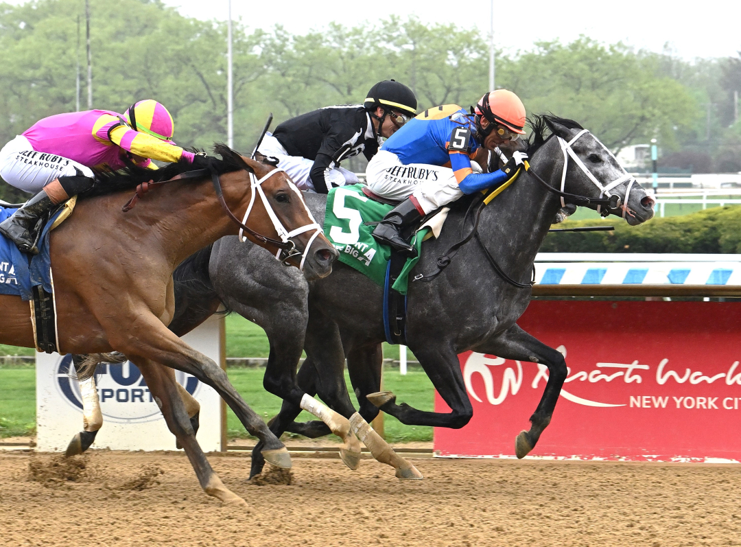 Haulin Ice wins Vagrancy at AQU May 4 2025